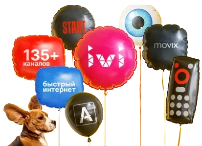 Услуги Дом.ру в деревня Большие Калмыки